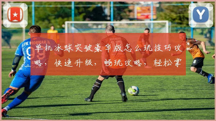 单机冰球突破豪华版怎么玩技巧攻略，快速升级，畅玩攻略，轻松掌握，一网打尽