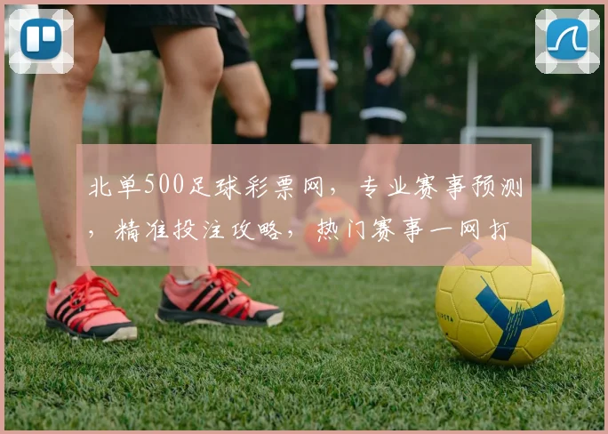北单500足球彩票网，专业赛事预测，精准投注攻略，热门赛事一网打尽，尽享精彩