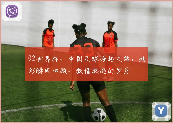 02世界杯，中国足球崛起之路，精彩瞬间回顾，激情燃烧的岁月