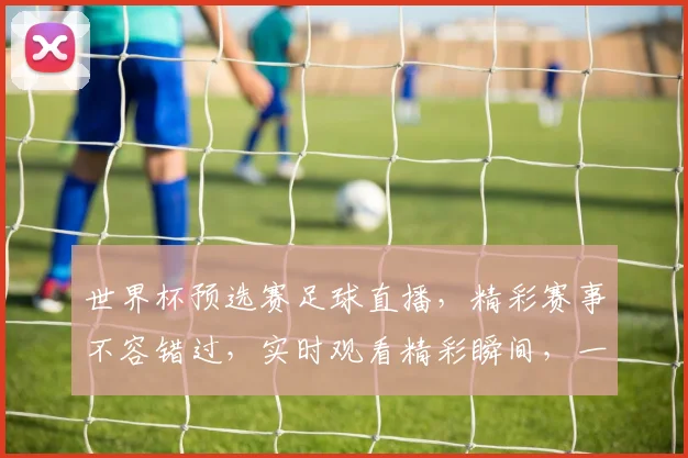 世界杯预选赛足球直播，精彩赛事不容错过，实时观看精彩瞬间，一触即达