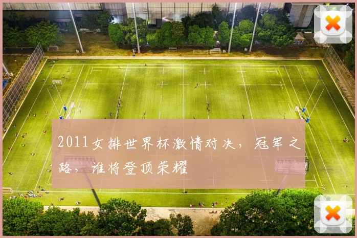 2011女排世界杯激情对决，冠军之路，谁将登顶荣耀