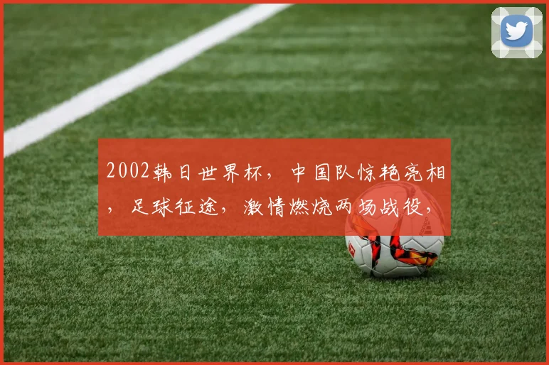 2002韩日世界杯，中国队惊艳亮相，足球征途，激情燃烧两场战役，梦想再续