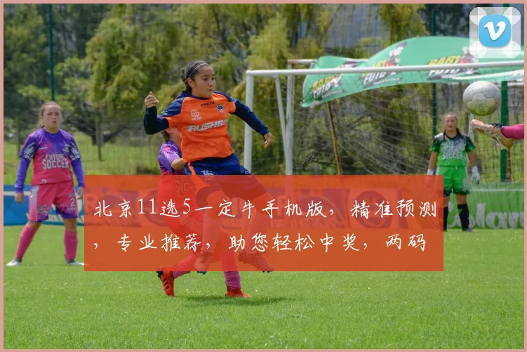 北京11选5一定牛手机版，精准预测，专业推荐，助您轻松中奖，两码必中